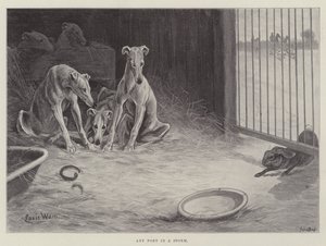 Cualquier puerto en una tormenta de Louis Wain